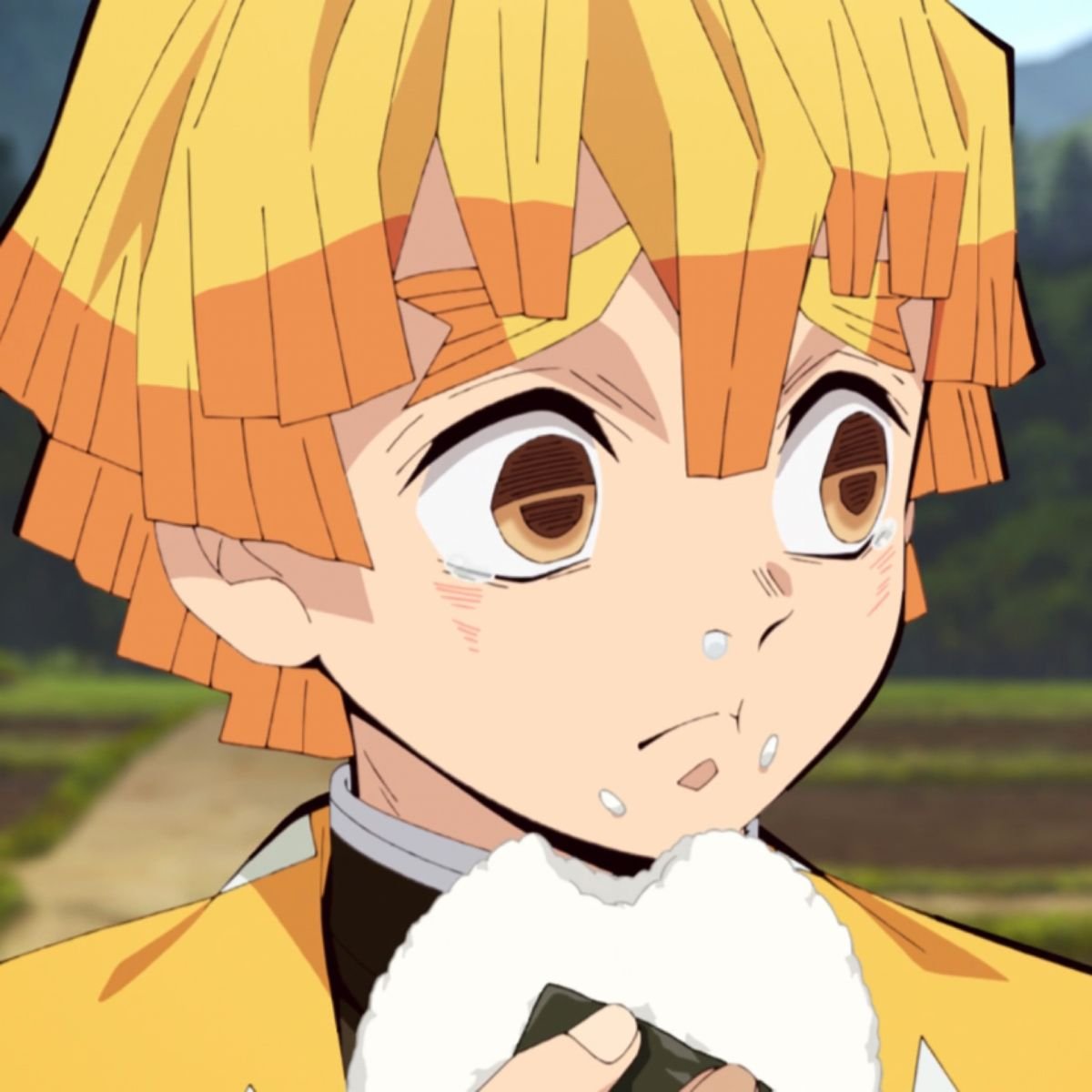 Zenitsu Agatsuma in Fullmetal Alchemist Brotherhood Explained to Fans